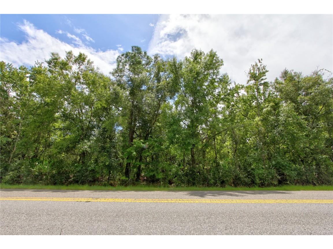 Starry Street #LOT 4 Orlando FL 32833 O6353823 image1