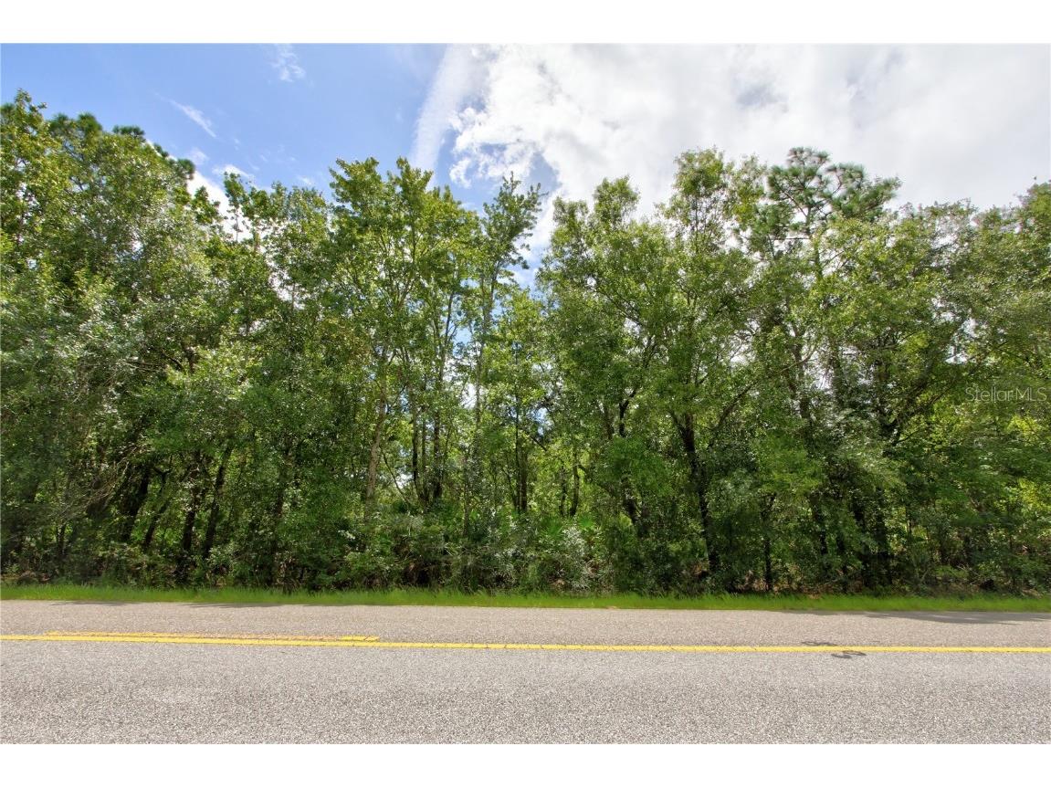 Starry Street #LOT 5 Orlando FL 32833 O6353820 image1