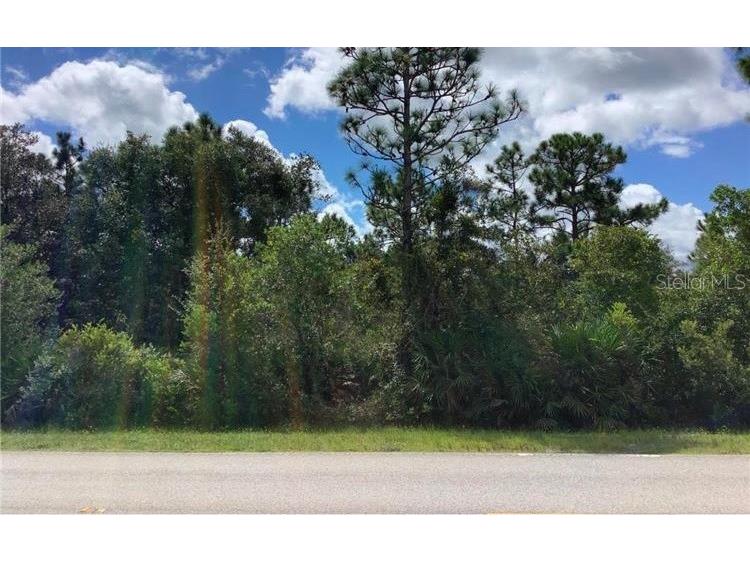 Starry Street Orlando FL 32833 O6159878 image1