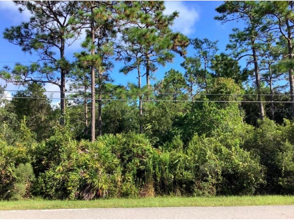 Starry Street Orlando FL 32833 O6168630 image1