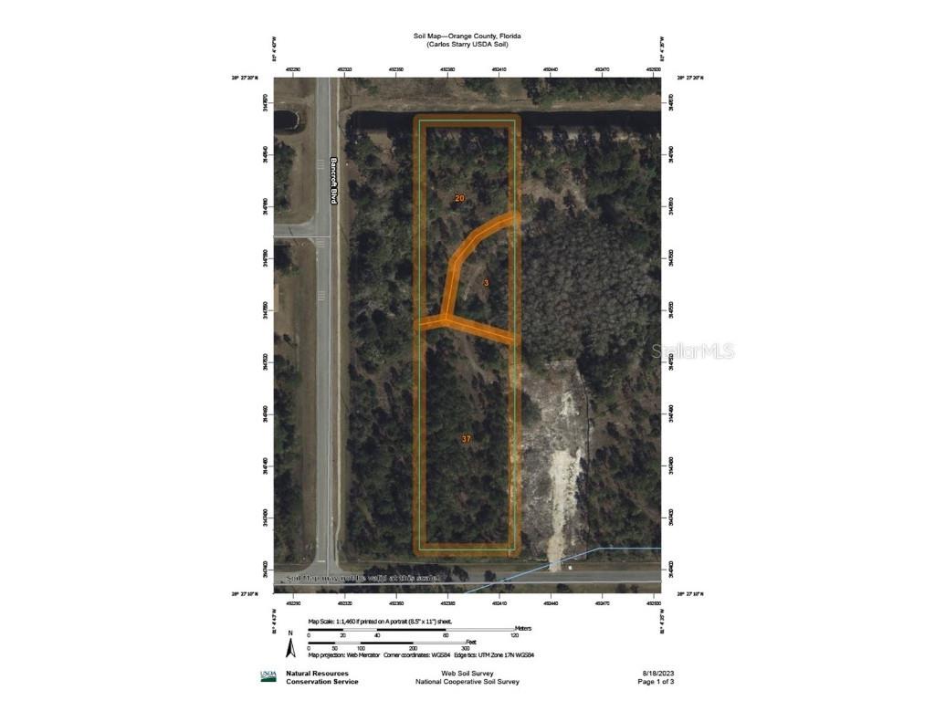 Starry Street Orlando FL 32833 O6217077 image4