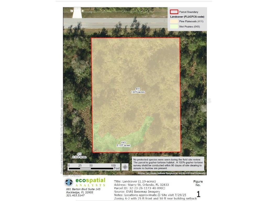 Starry Street Orlando FL 32833 O6351370 image2