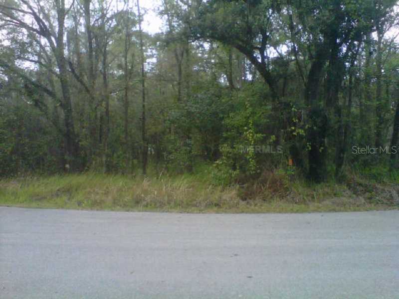 State Park Rd Lakeland FL 33805 P4939261 image2