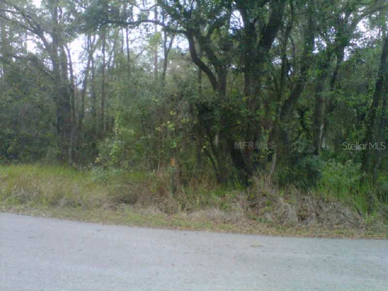 State Park Rd Lakeland FL 33805 P4939261 image3