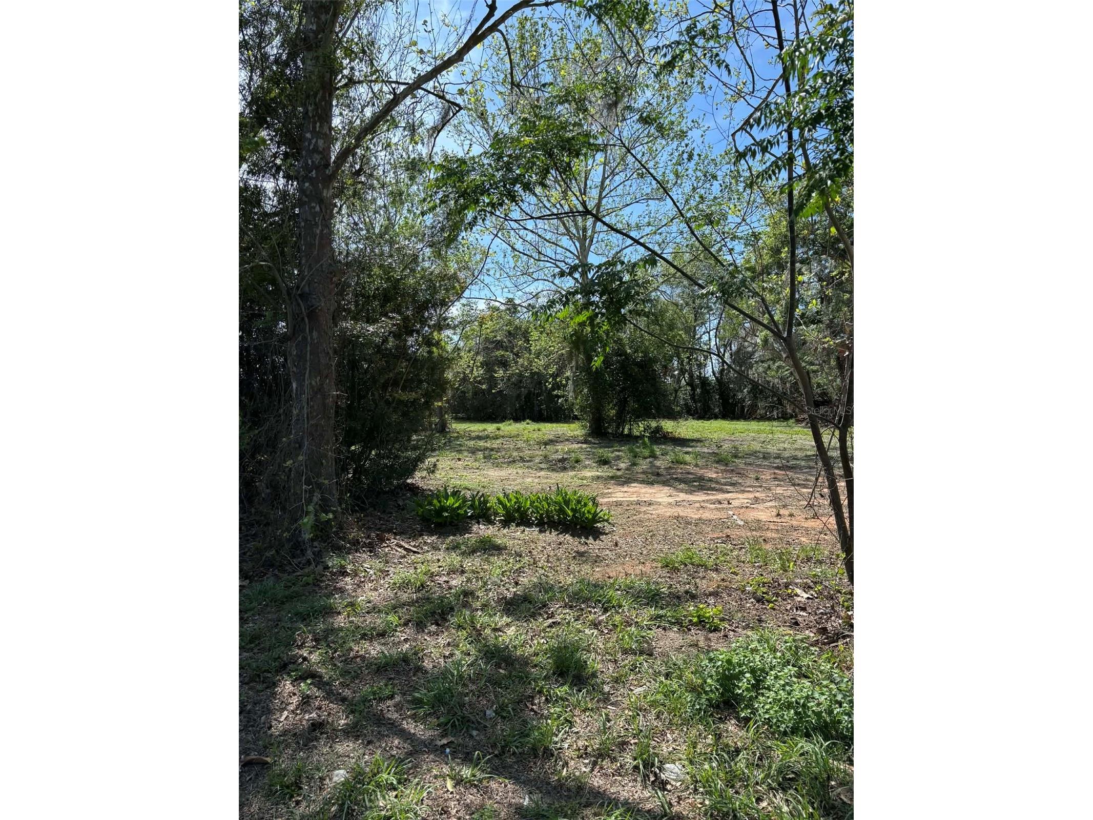 State Road 19 Groveland FL 34736 G5109770 image3