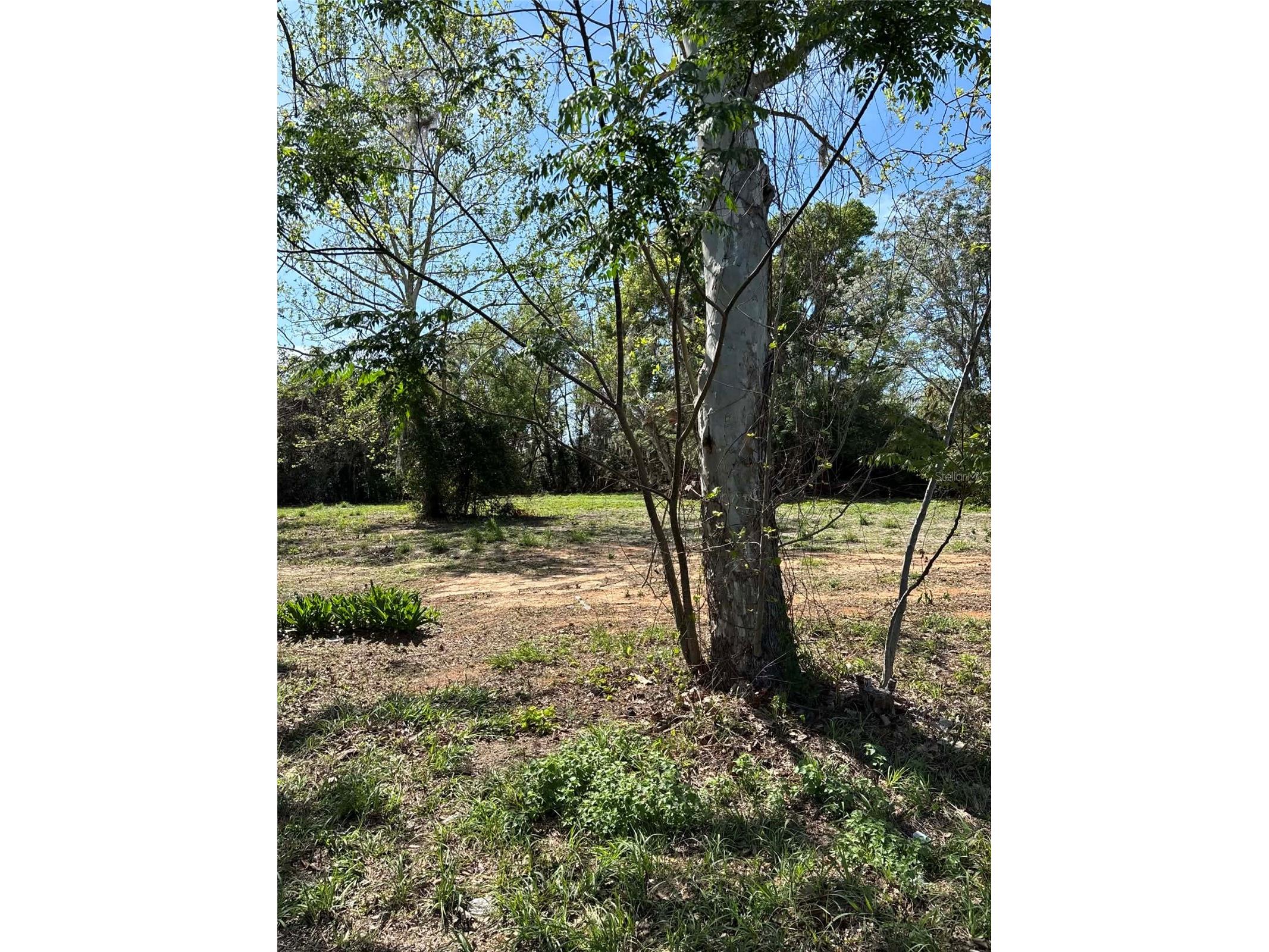 State Road 19 Groveland FL 34736 G5109770 image4