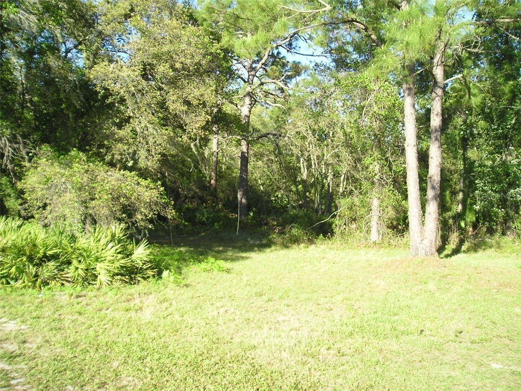 State Road 33 Polk City FL 33868 T3516636 image1