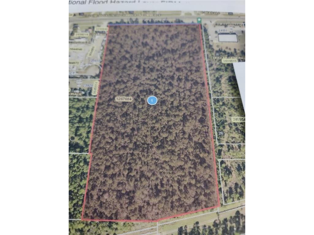 State Road 40 Astor FL 32102 V4921681 image1
