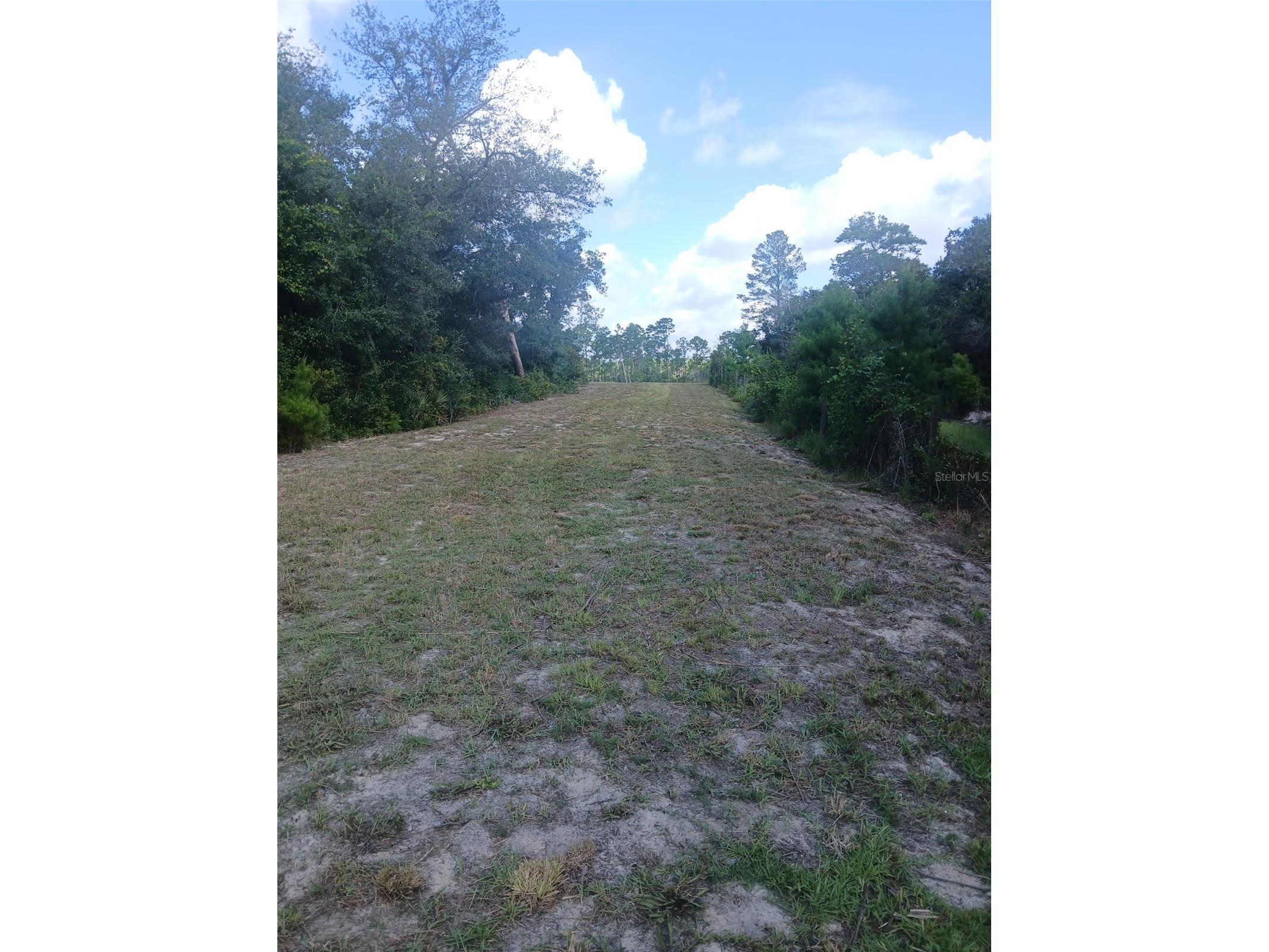 State Road 44 Eustis FL 32726 L4950491 image5