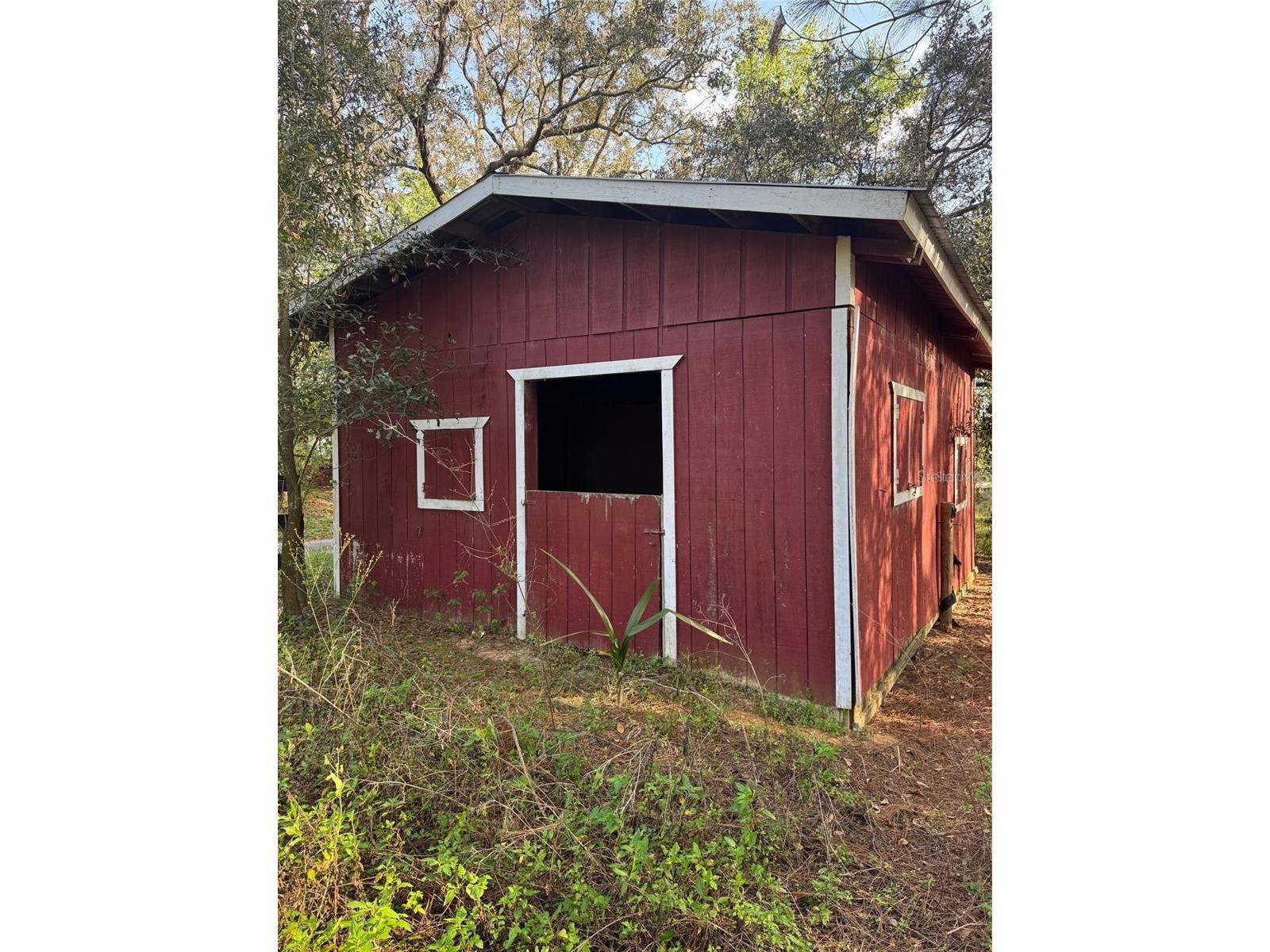 State Road 44 Eustis FL 32726 O6397994 image6