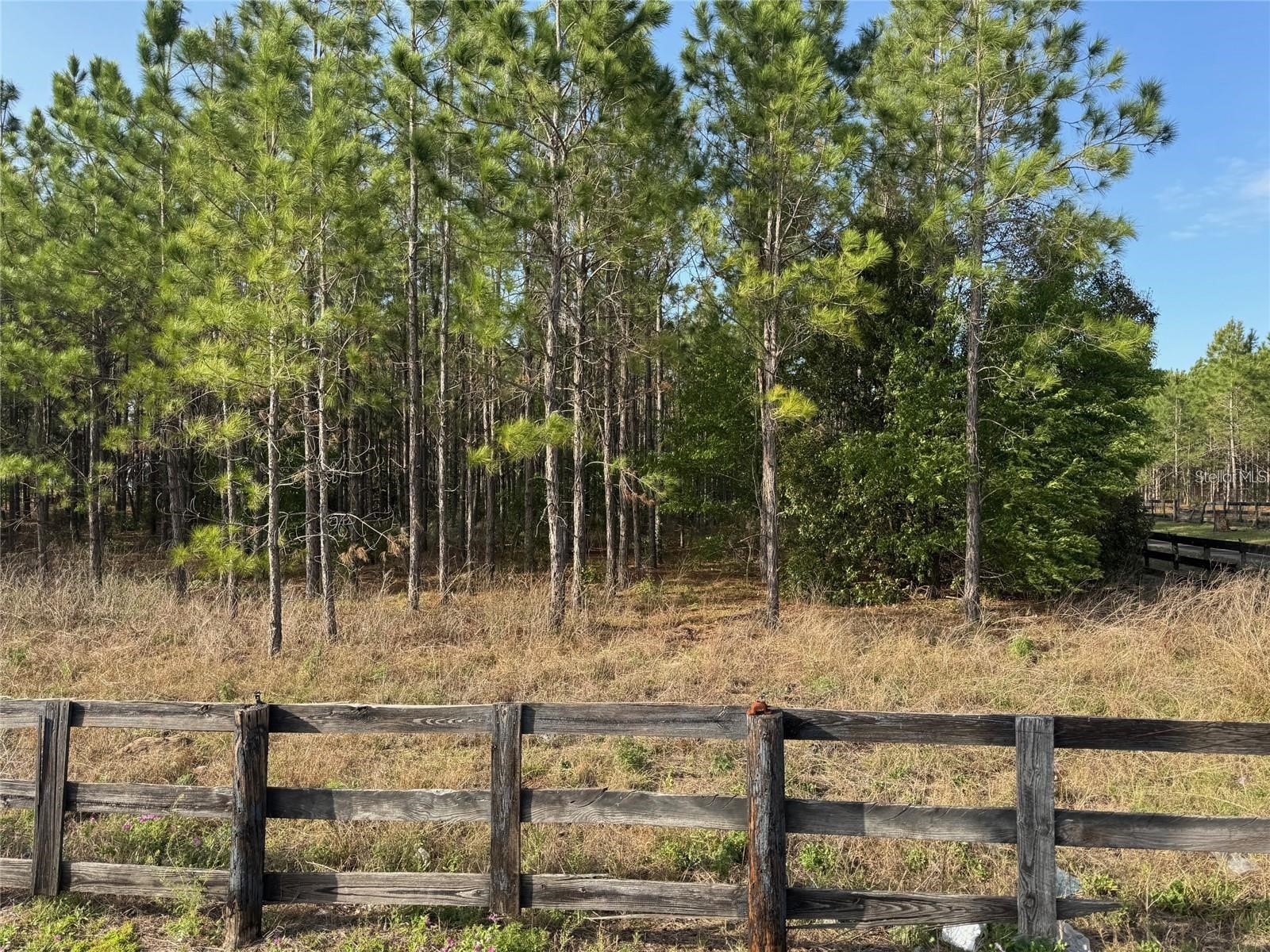 State Road 44 Eustis FL 32726 O6398051 image1