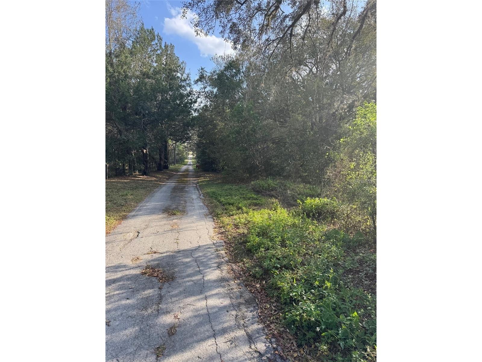 State Road 44 Eustis FL 32726 O6398051 image2