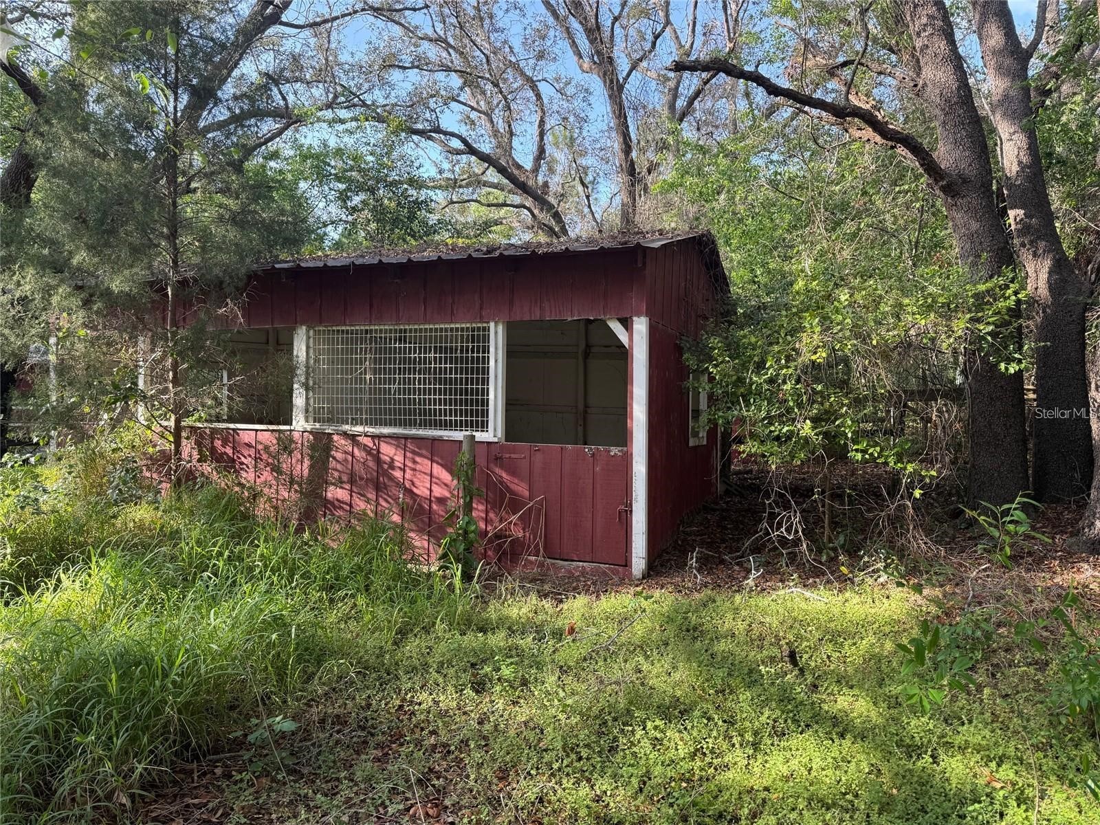 State Road 44 Eustis FL 32726 O6398051 image4