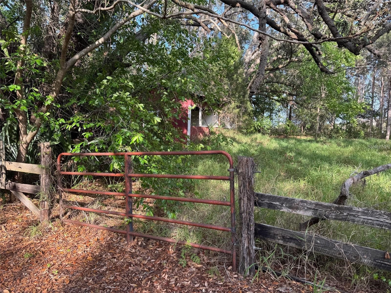 State Road 44 Eustis FL 32726 O6398051 image5