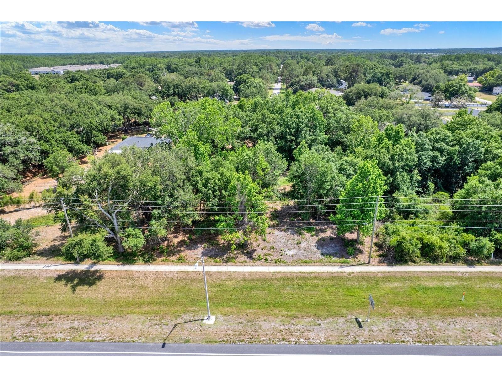 State Road 54 Lutz FL 33558 TB8506905 image8