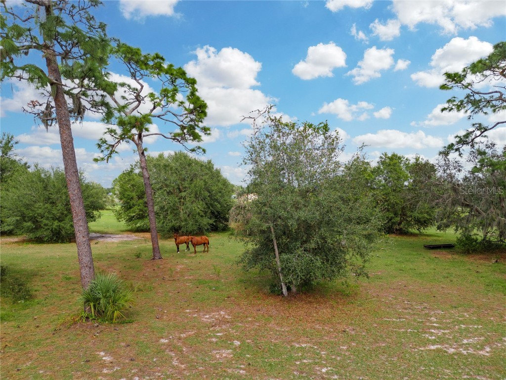 State Road 60 E Lake Wales FL 33898 P4928255 image13