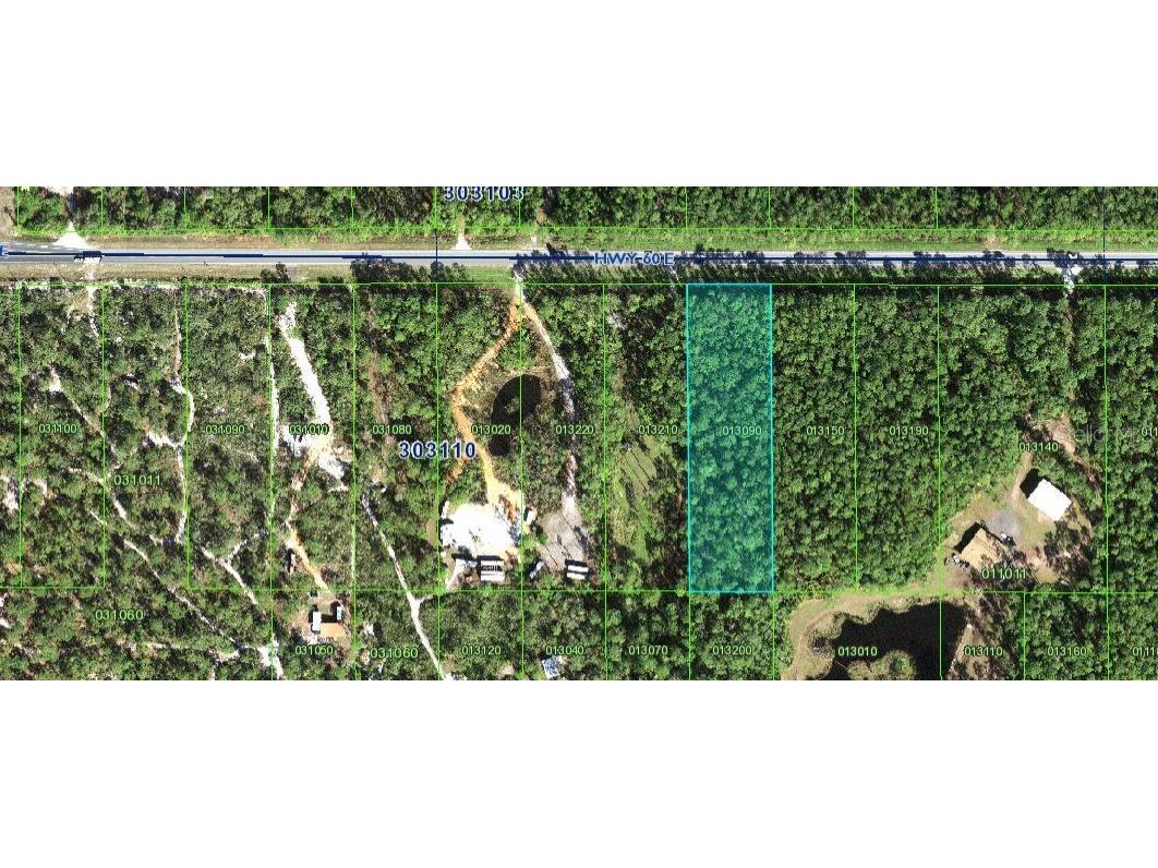 State Road 60 Frostproof FL 33843 L4946801 image1