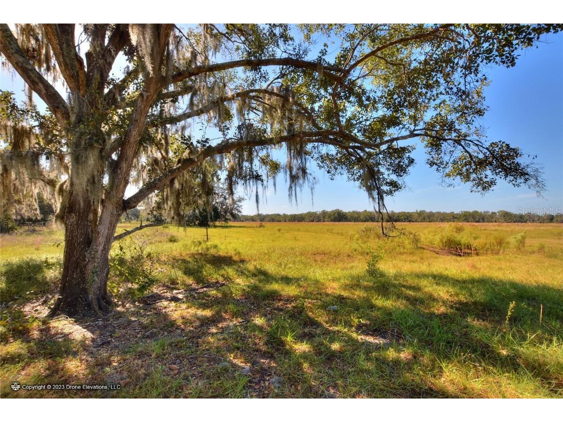 State Road 674 Lithia FL 33547 T3489365 image1