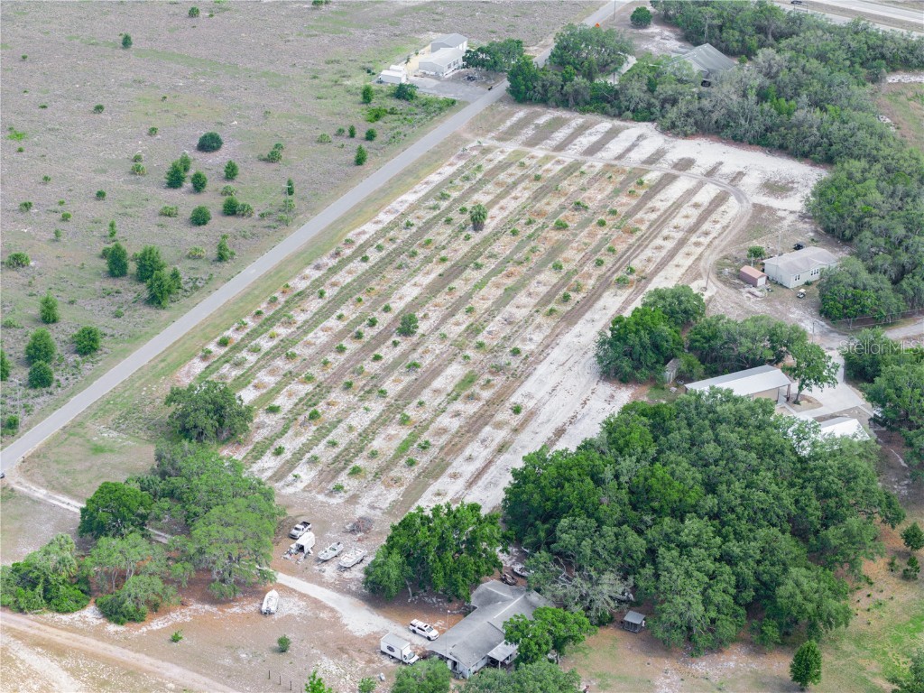 Stembridge Road Lake Wales FL 33898 P4934645 image13