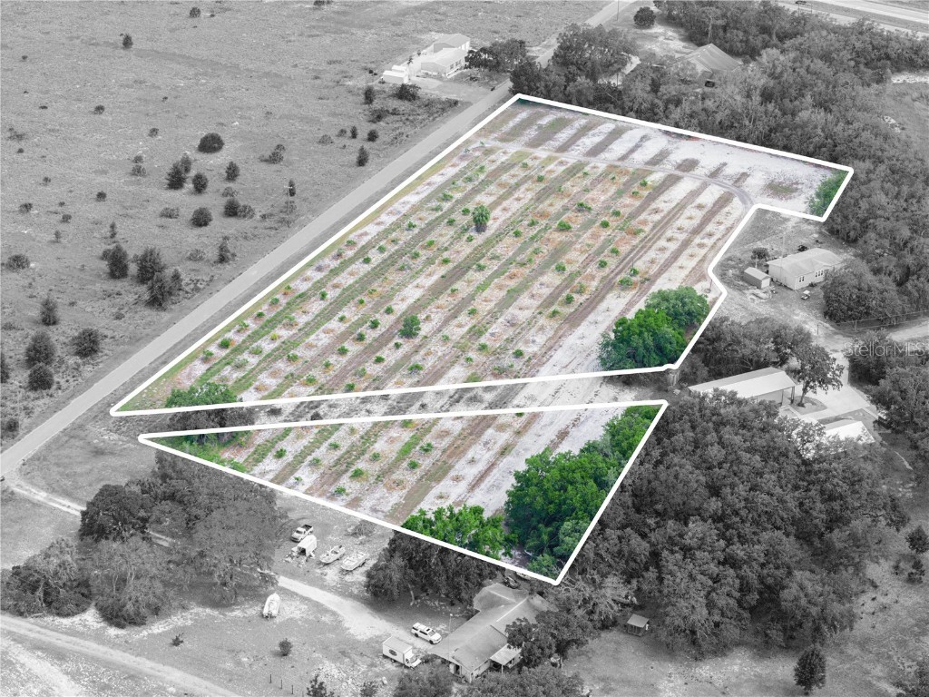 Stembridge Road Lake Wales FL 33898 P4934645 image14