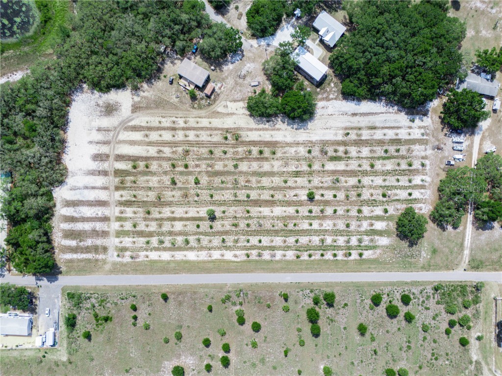 Stembridge Road Lake Wales FL 33898 P4934645 image6