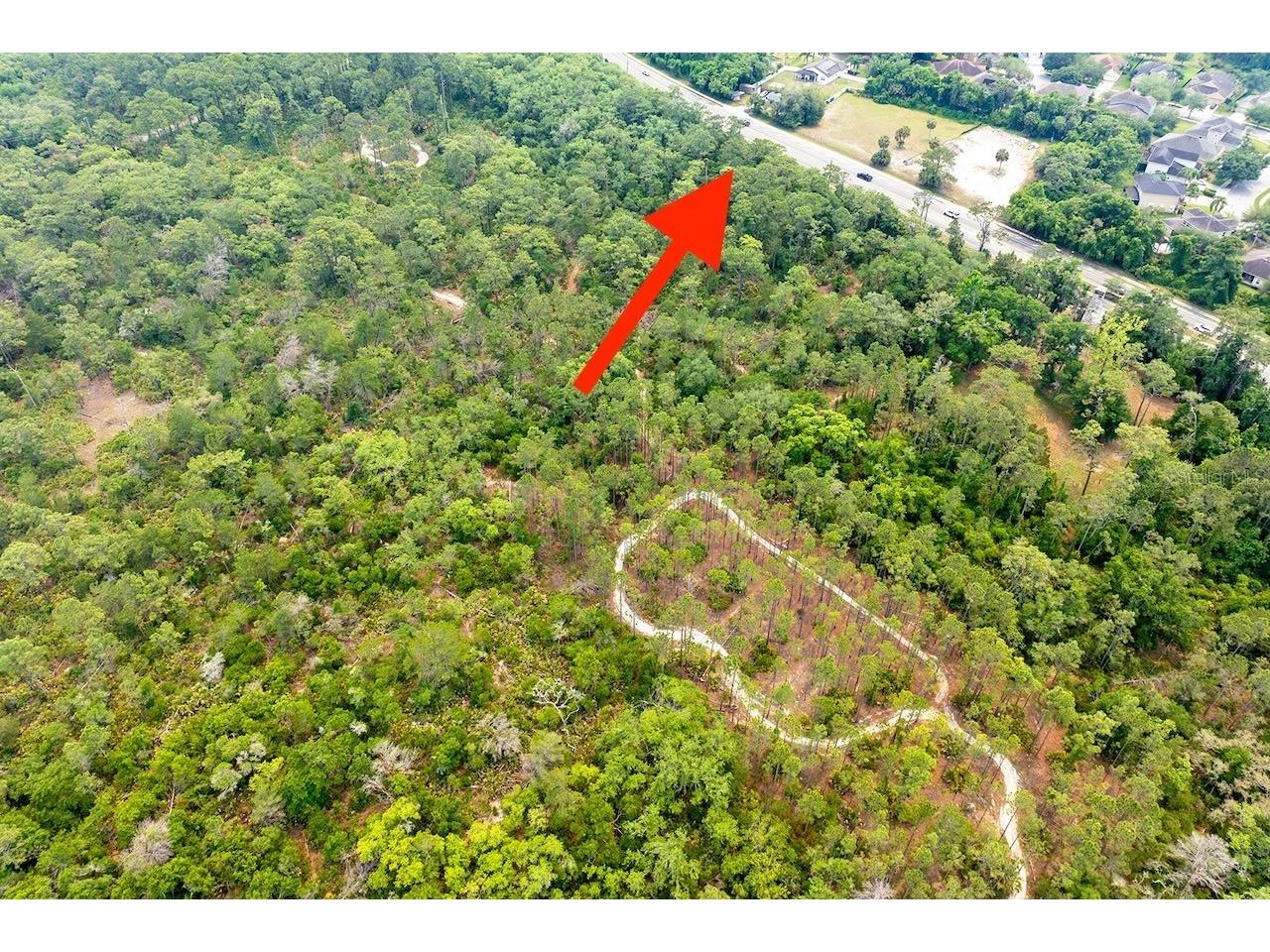 Stevens Street Chuluota FL 32766 O6383033 image4