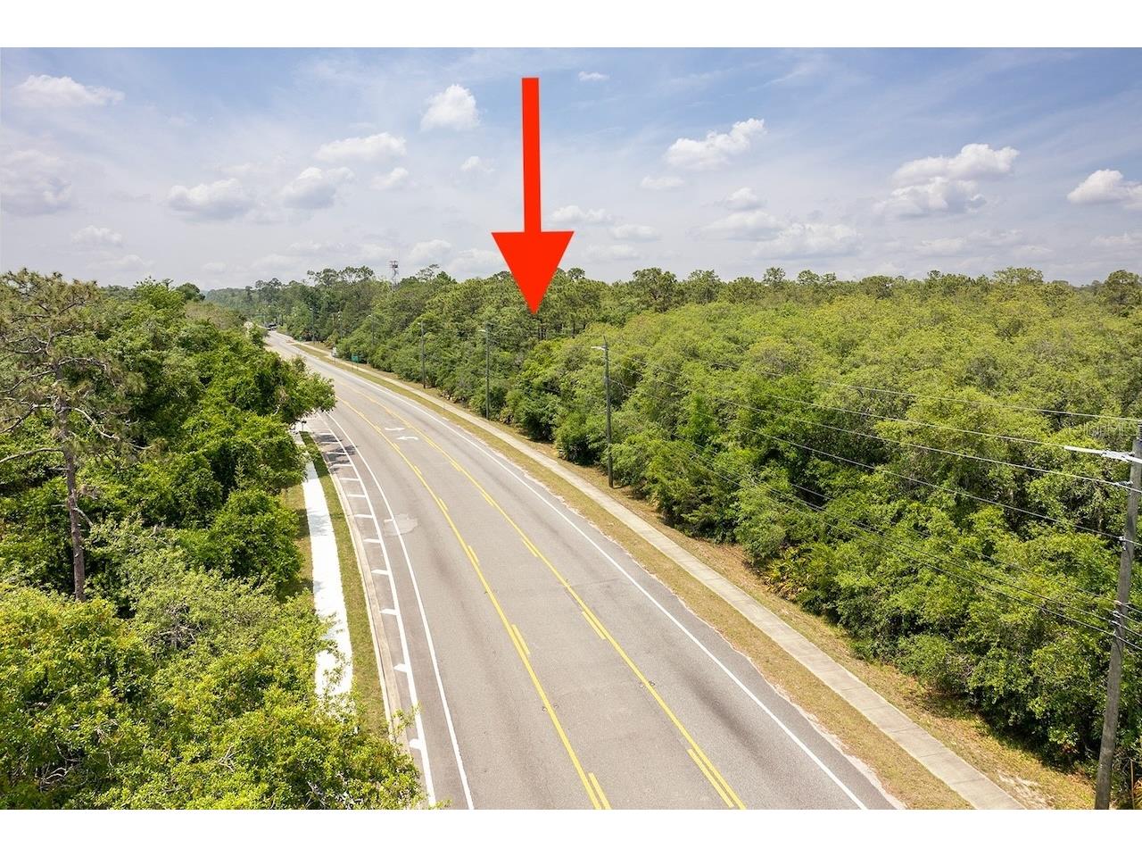 Stevens Street Chuluota FL 32766 O6383033 image6