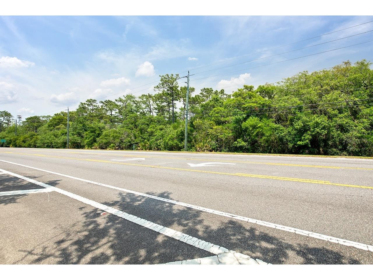 Stevens Street Chuluota FL 32766 O6383033 image8