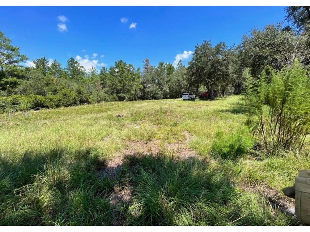 Steward Road Eustis FL 32726 - STEWARD POND ST JOHNS RIVER G5105750 image2