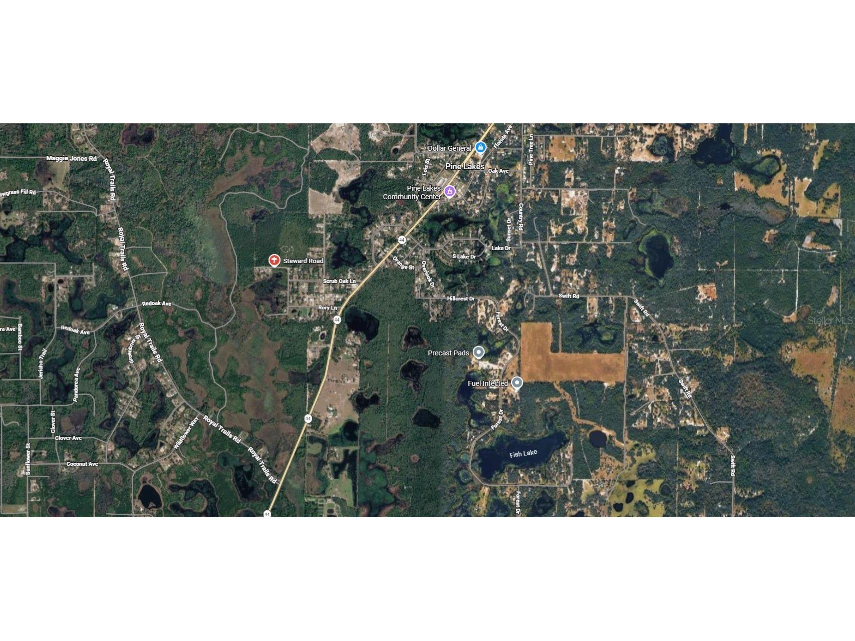 Steward Road Eustis FL 32726 O6407345 image3