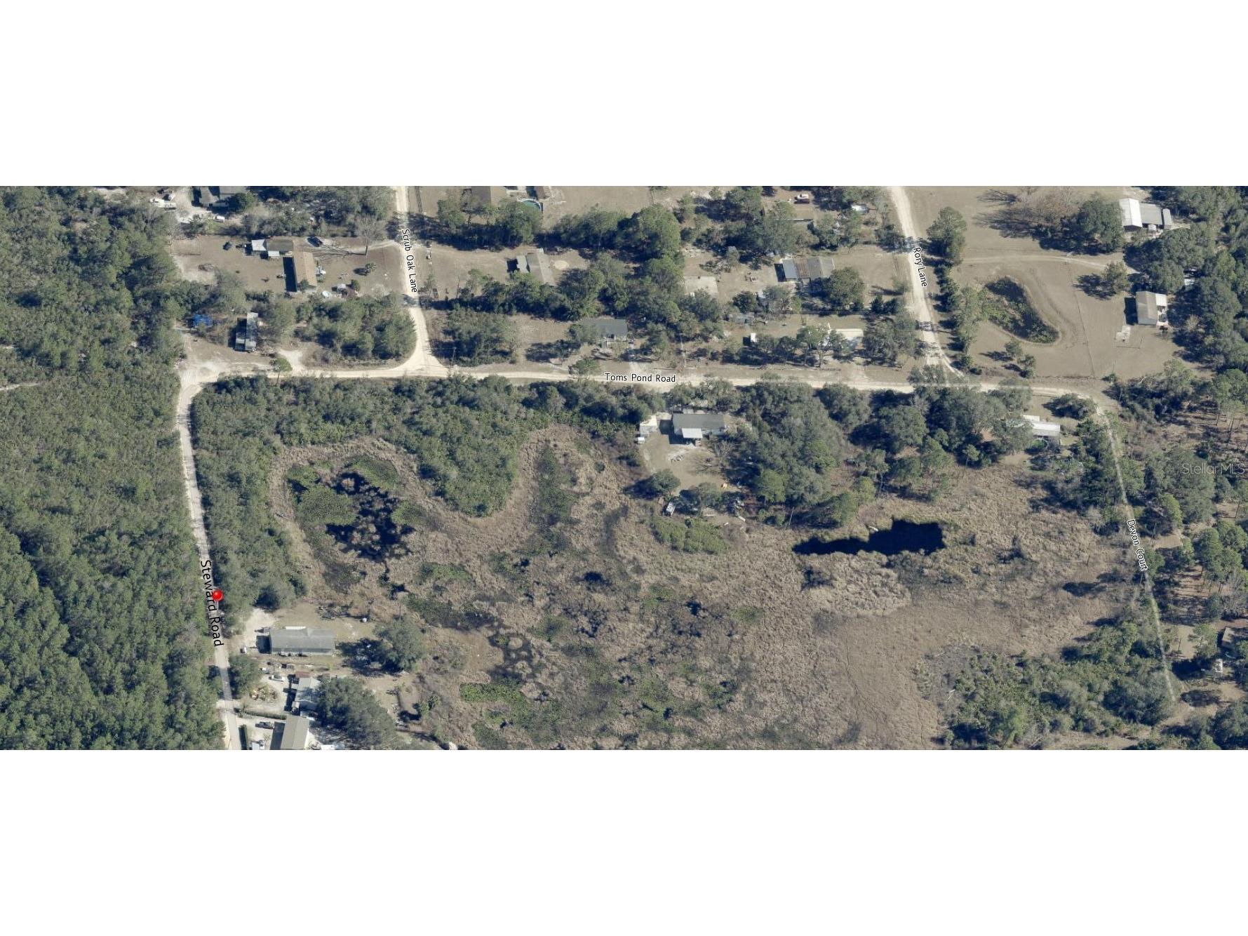 Steward Road Eustis FL 32726 O6407345 image6