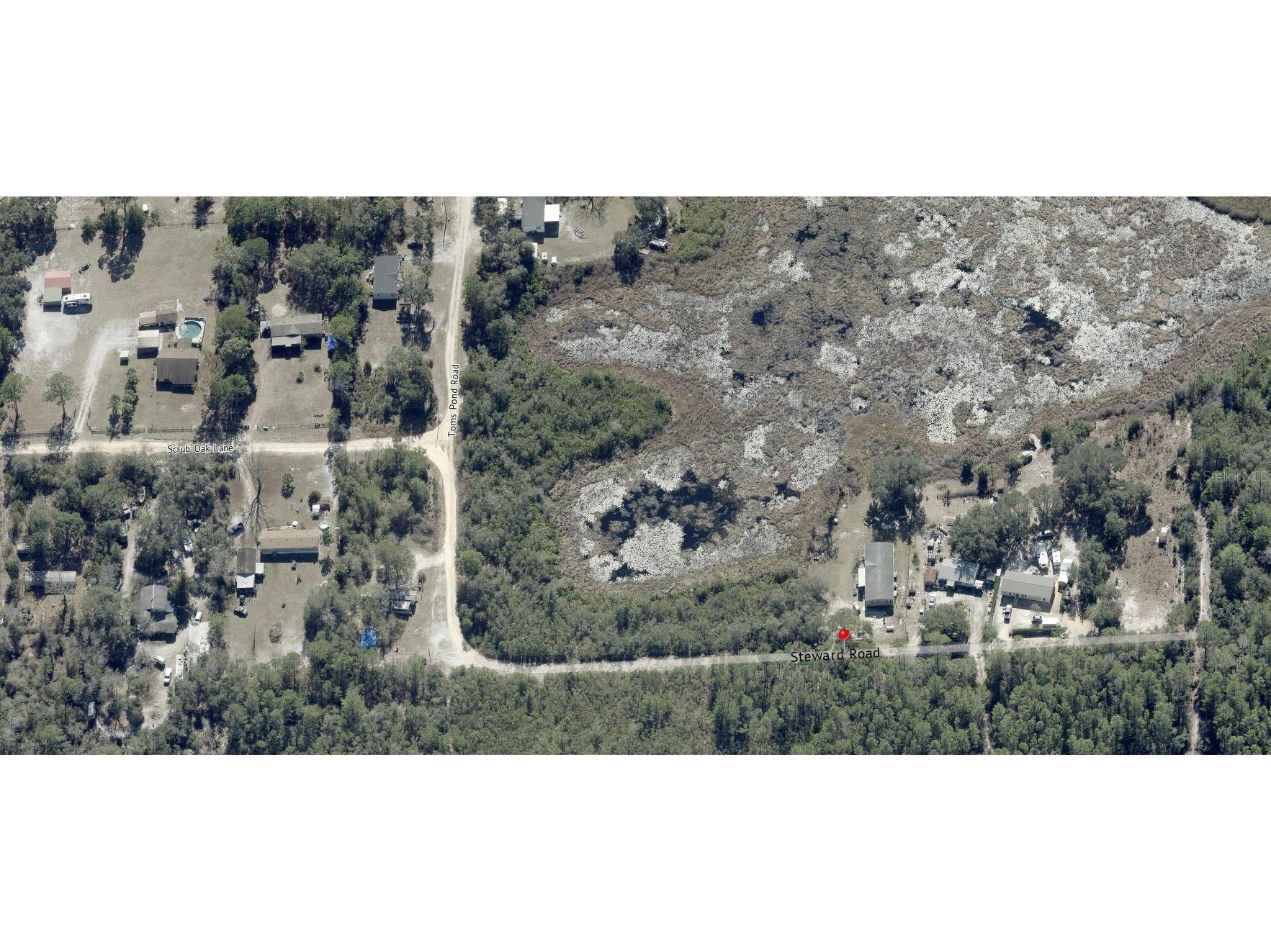 Steward Road Eustis FL 32726 O6407345 image7