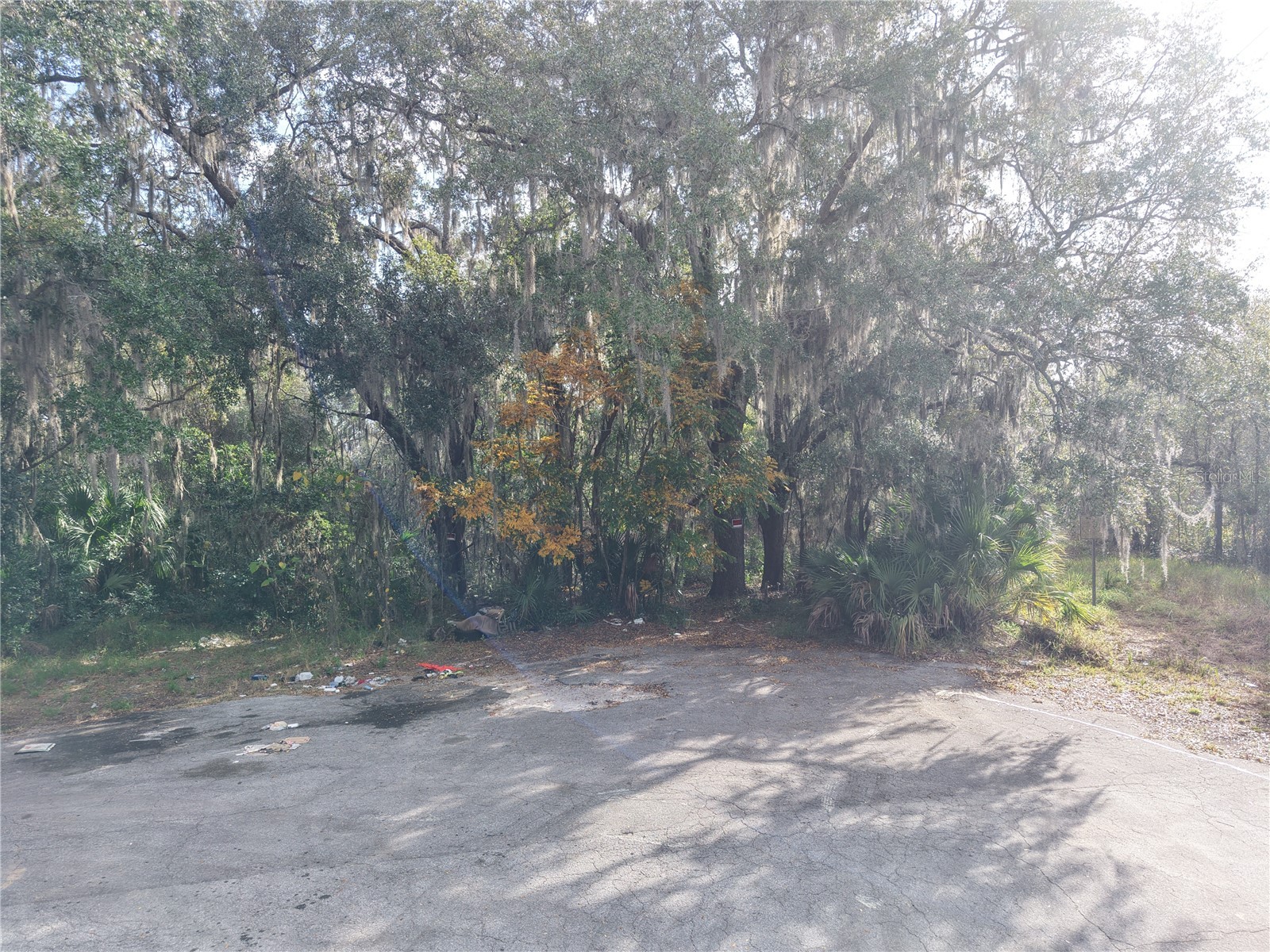 Stinson Street Leesburg FL 34748 S5141150 image1
