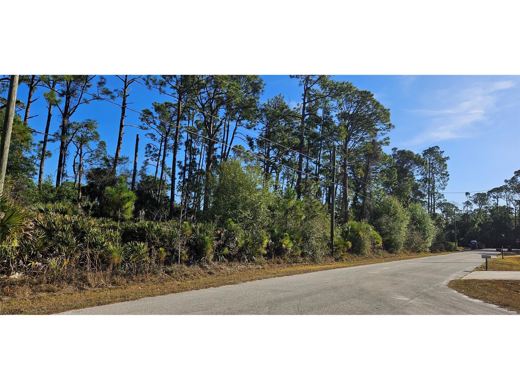 Stokie Avenue North Port FL 34286 A4682895 image6
