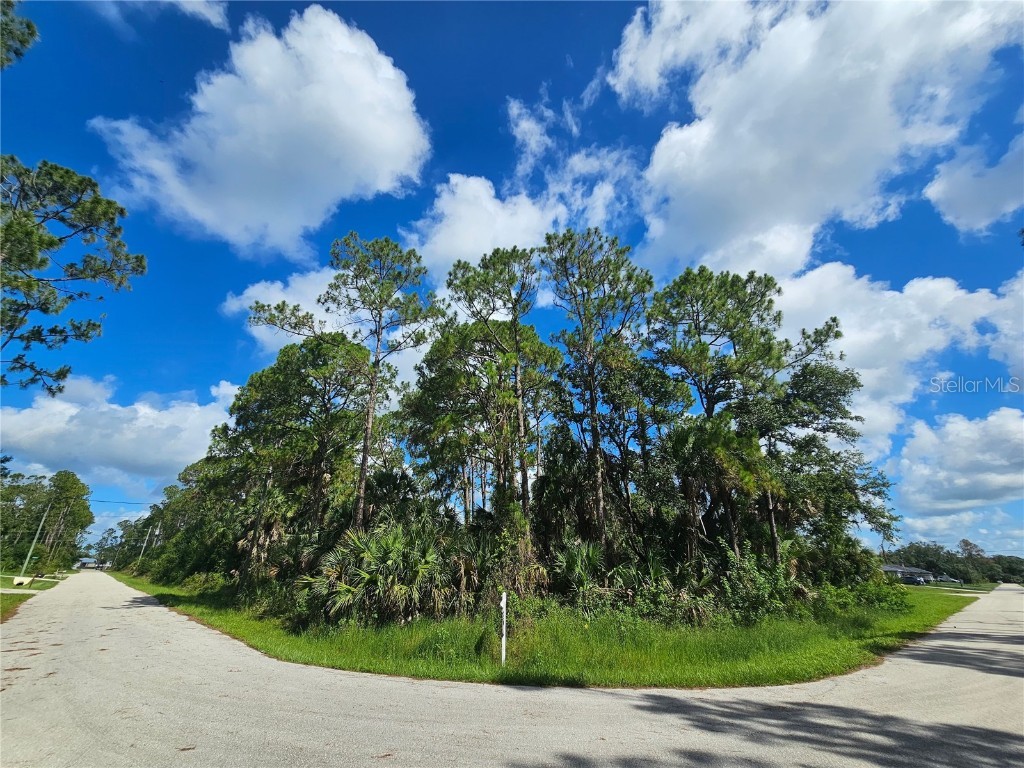 Stokie Avenue North Port FL 34286 N6139051 image1