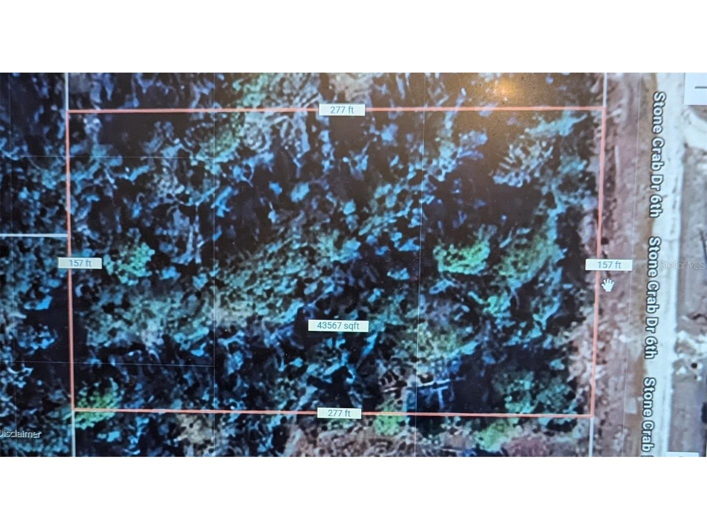 Stone Crab Perry FL 32348 TB8418647 image1