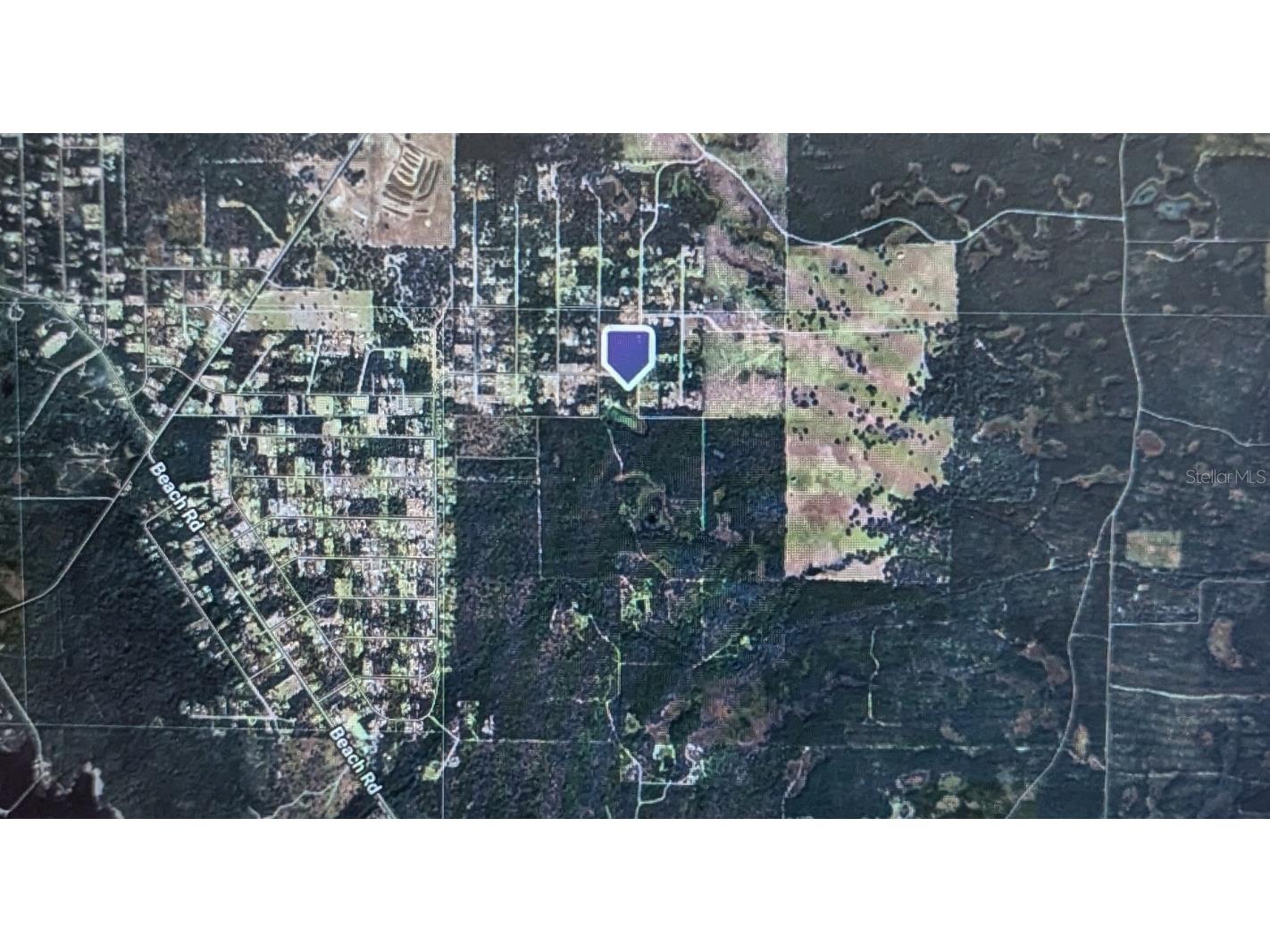 Stone Crab Perry FL 32348 TB8418647 image4