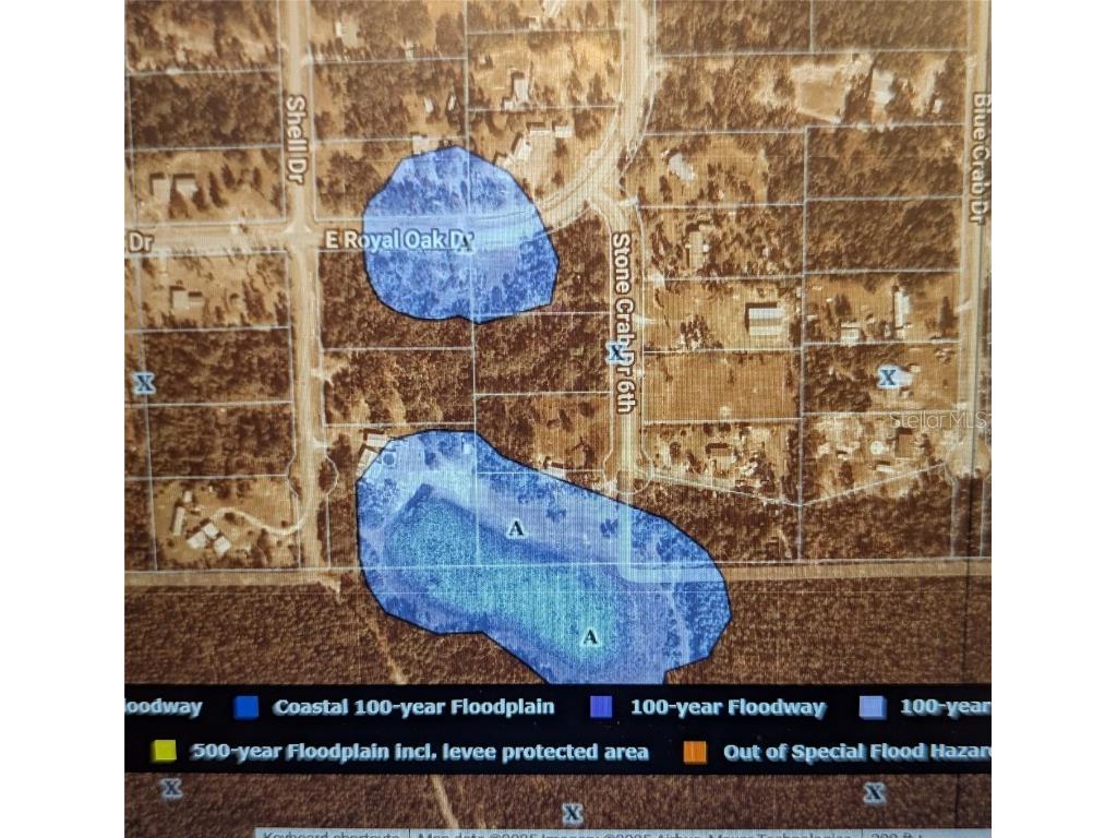 Stone Crab Perry FL 32348 TB8418647 image5