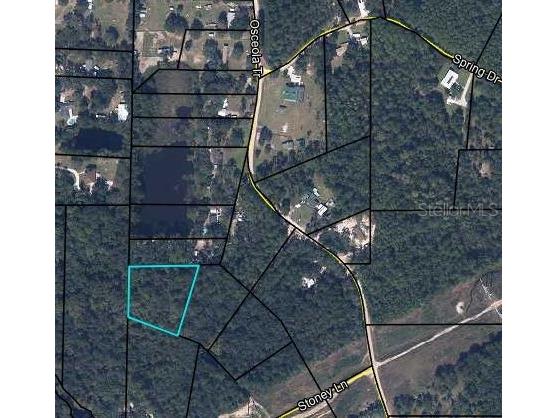 Stoney Lane Middleburg FL 32068 FC316987 image1