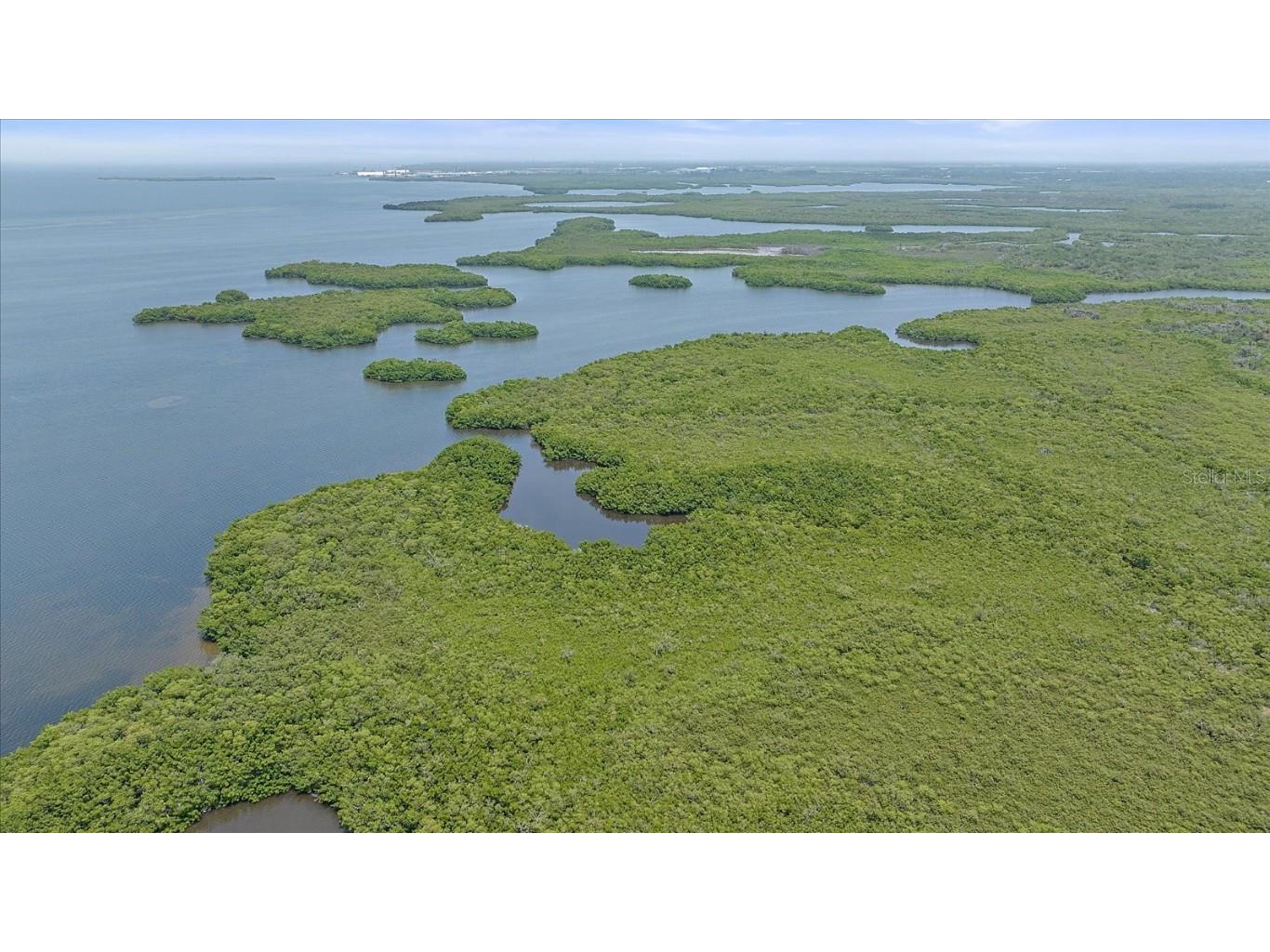 Stotz Road Palmetto FL 34221 A4610686 image15