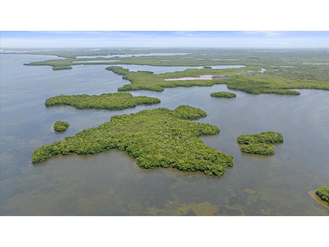 Stotz Road Palmetto FL 34221 A4610686 image4