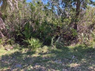 Stratford Road Englewood FL 34223 D6141235 image4