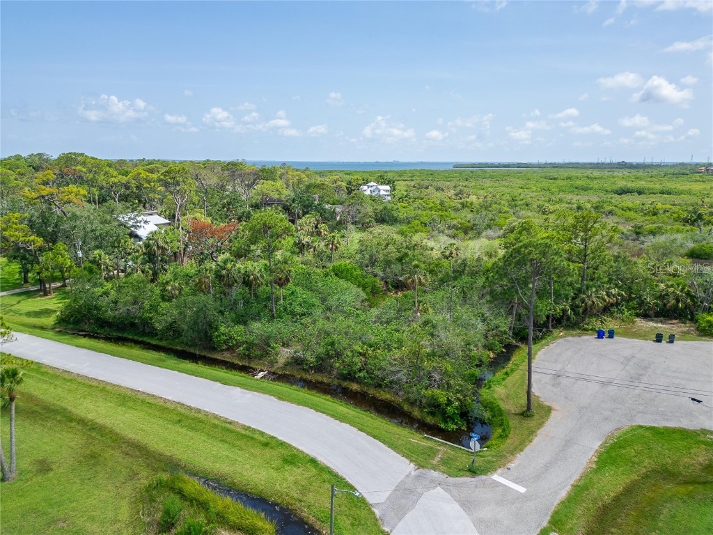 Strathmore Avenue Oldsmar FL 34677 TB8396827 image1