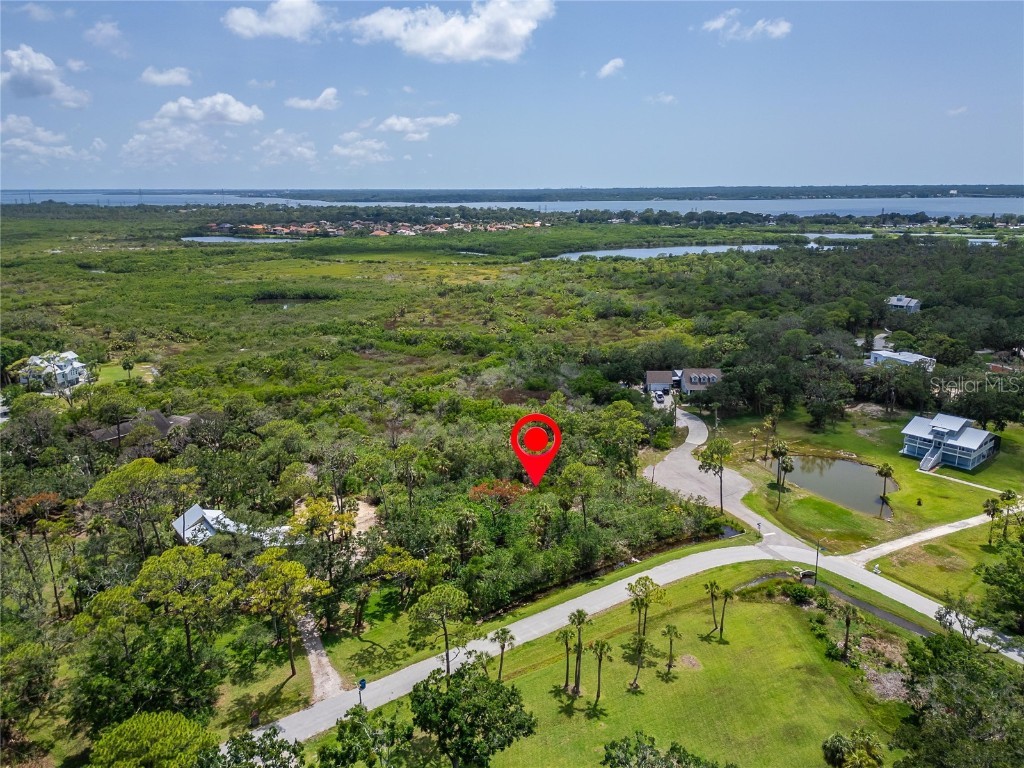 Strathmore Avenue Oldsmar FL 34677 TB8396827 image10