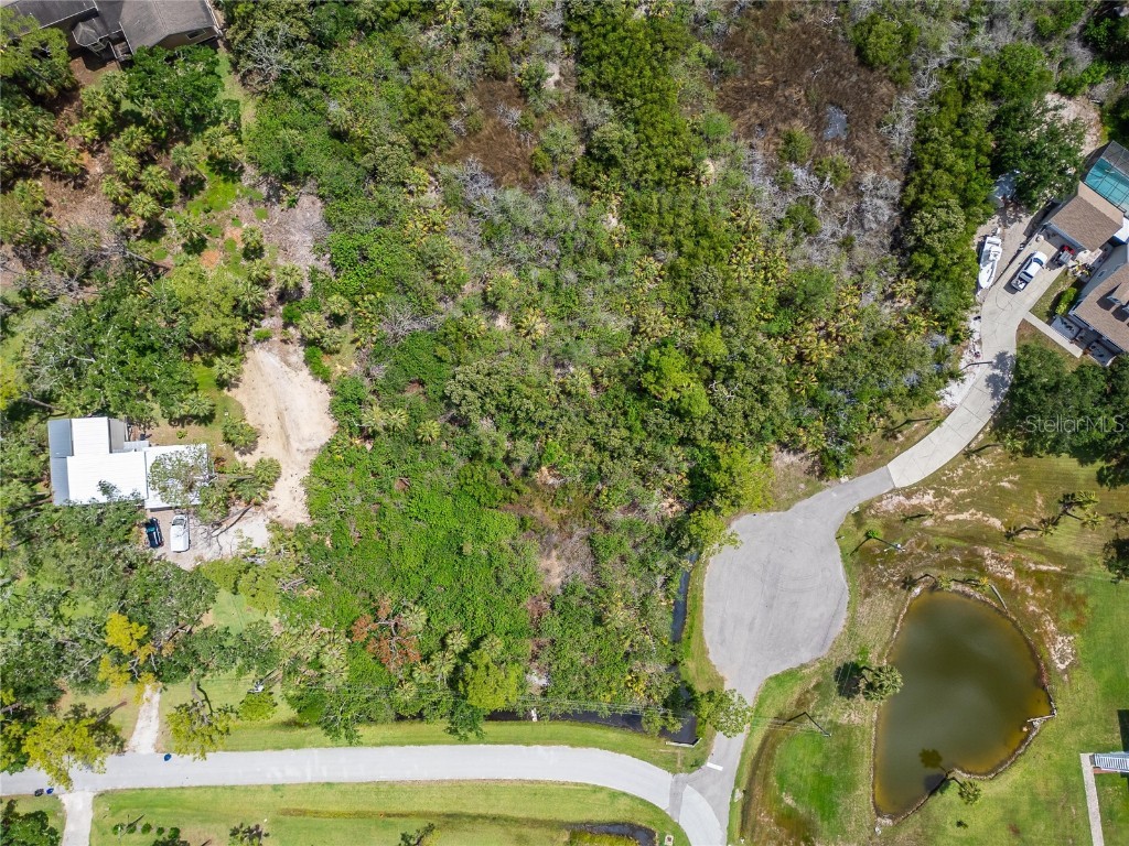 Strathmore Avenue Oldsmar FL 34677 TB8396827 image11