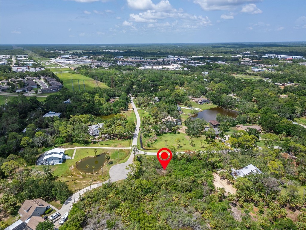 Strathmore Avenue Oldsmar FL 34677 TB8396827 image12