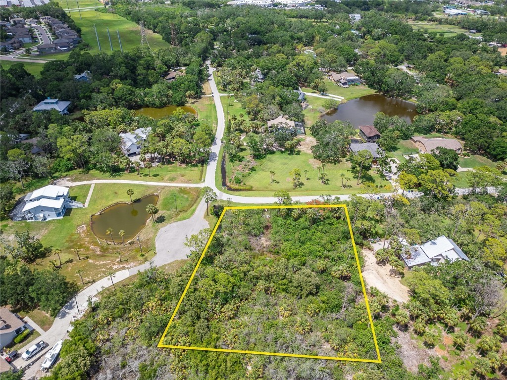 Strathmore Avenue Oldsmar FL 34677 TB8396827 image13