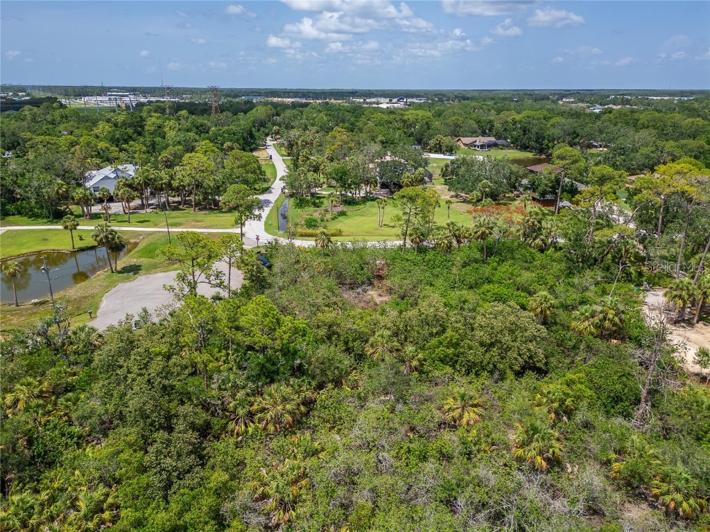 Strathmore Avenue Oldsmar FL 34677 TB8396827 image17