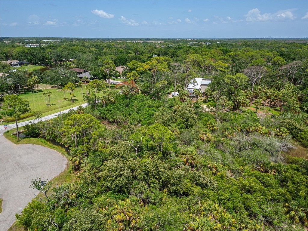 Strathmore Avenue Oldsmar FL 34677 TB8396827 image18