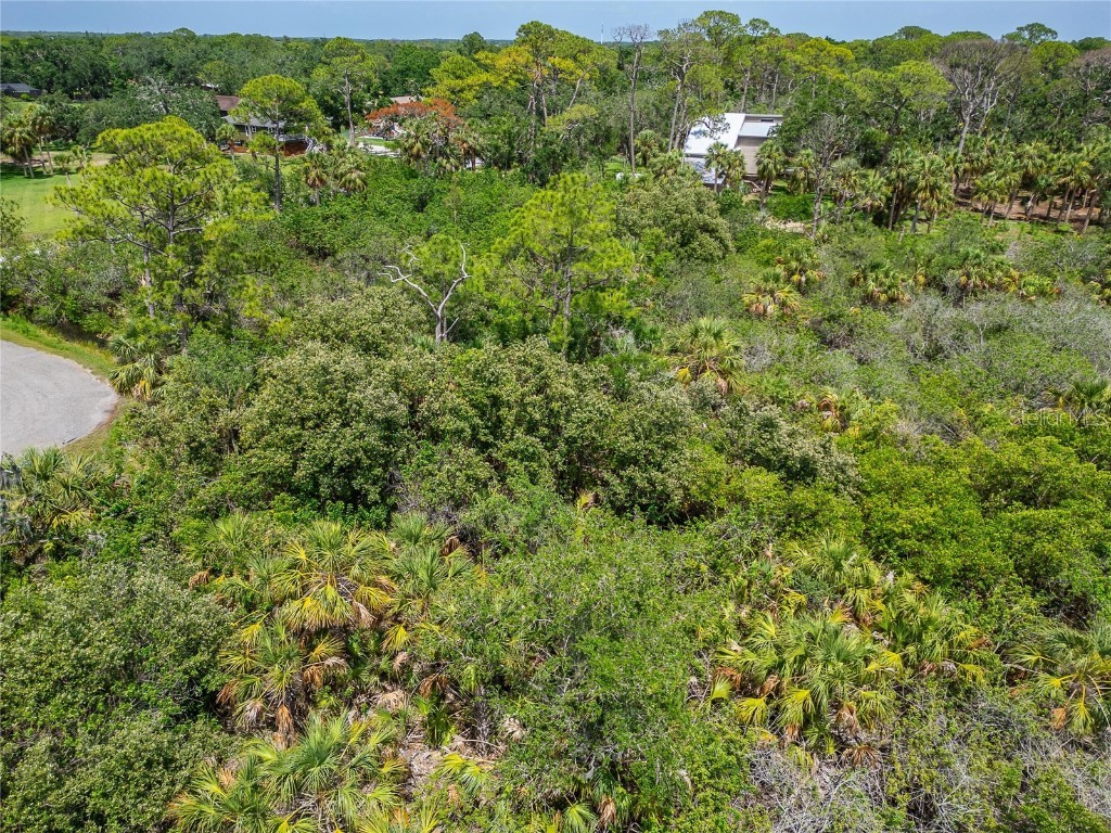 Strathmore Avenue Oldsmar FL 34677 TB8396827 image19